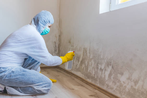 Crawl Space Mold Remediation treatment of floor joists in Cold Spring Harbor